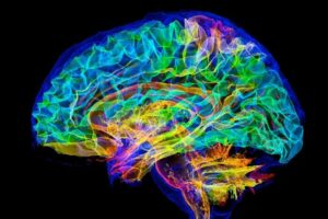 Supercomputadores e a simulação total do cérebro humano